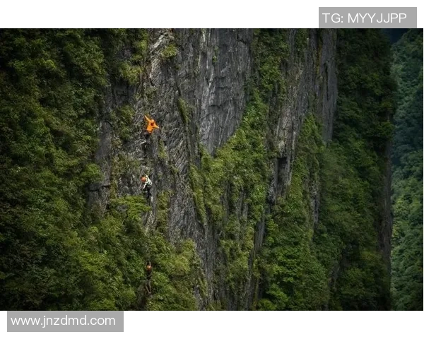李强的攀岩之路:从初学者到顶尖高手的心路历程与挑战 李强的攀岩之路:从初学者到顶尖高手的心路历程与挑战