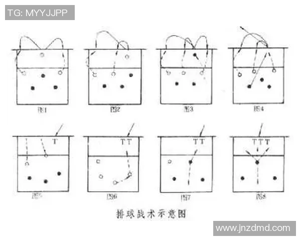 杭州排球队反击战术深度解析与实战应用探讨 杭州排球队反击战术深度解析与实战应用探讨